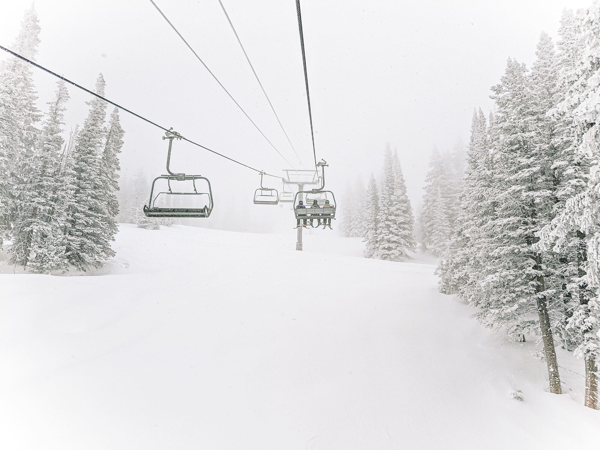 A photograph of the scenic wildnerness in Steamboat Springs, Colorado