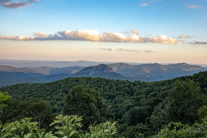 A photograph of the scenic wildnerness in Asheville, North Carolina