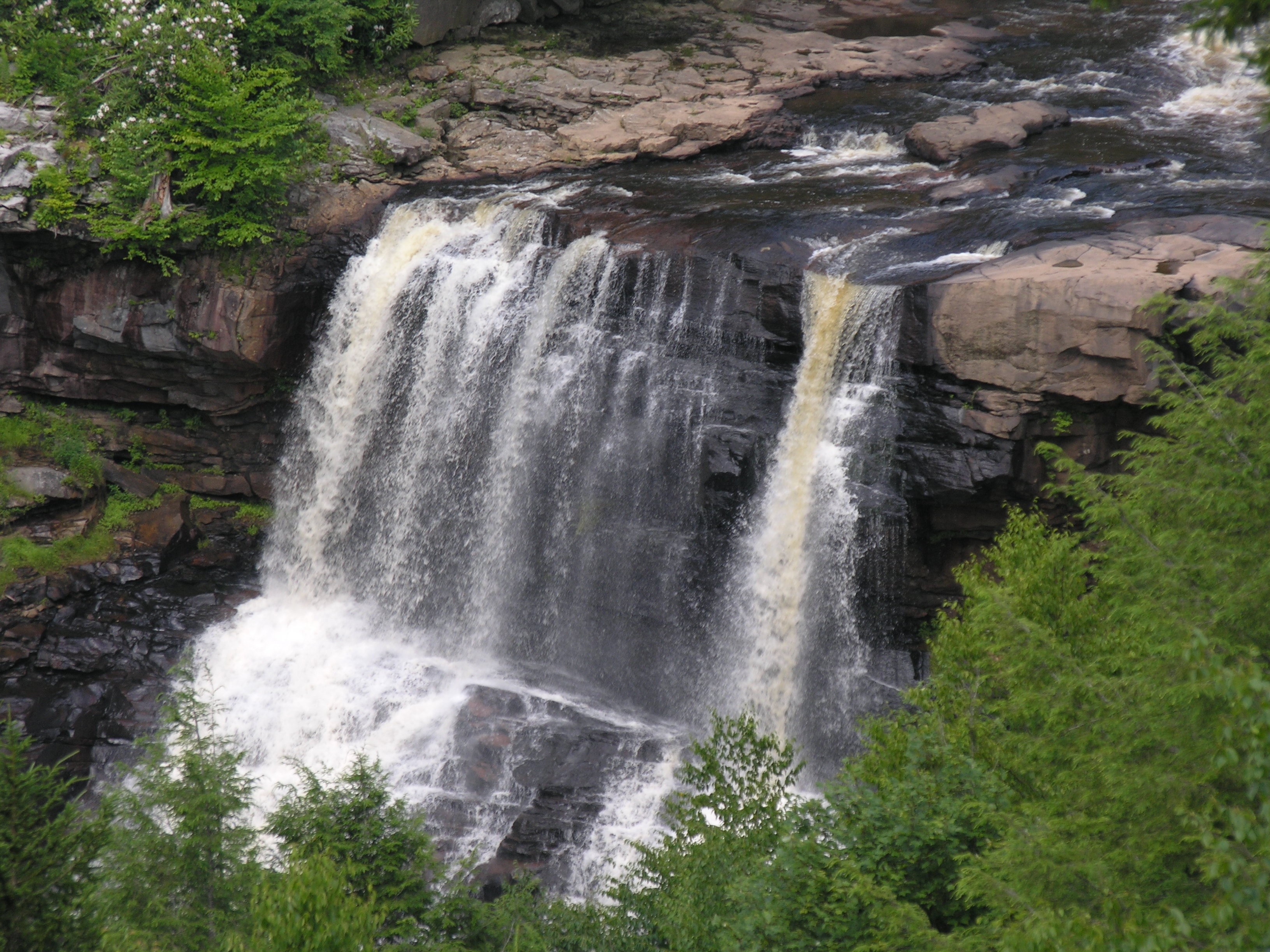 A photograph of the scenic wildnerness in Davis, West Virginia