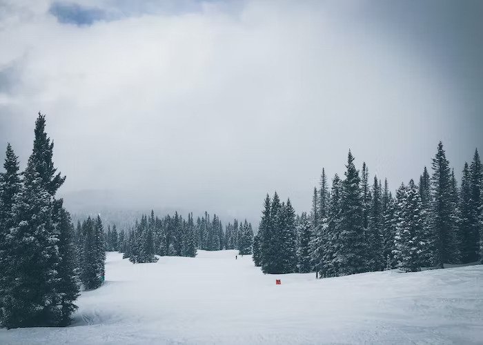 A photograph of the scenic wildnerness in Durango, Colorado