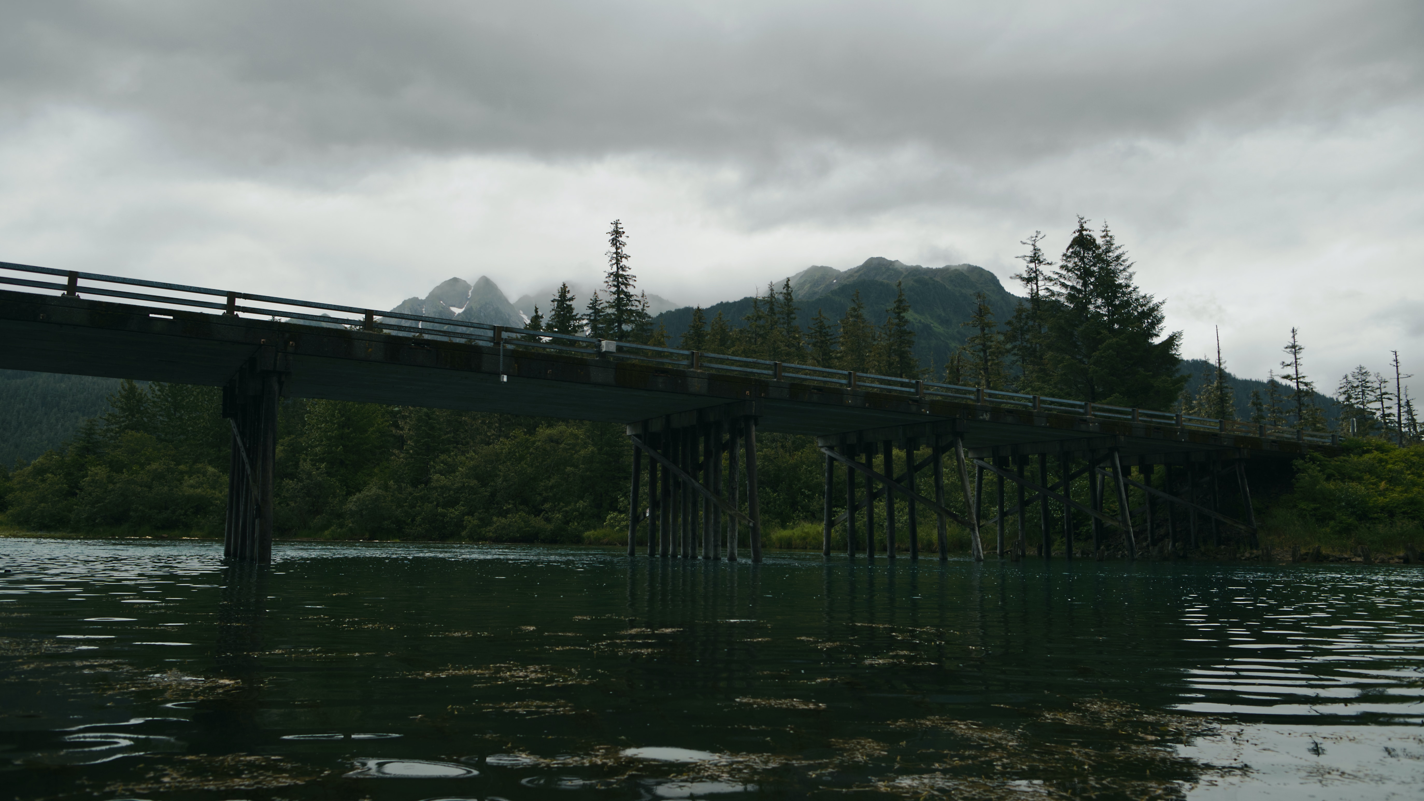 A photograph of the scenic wildnerness in Cordova, Alaska