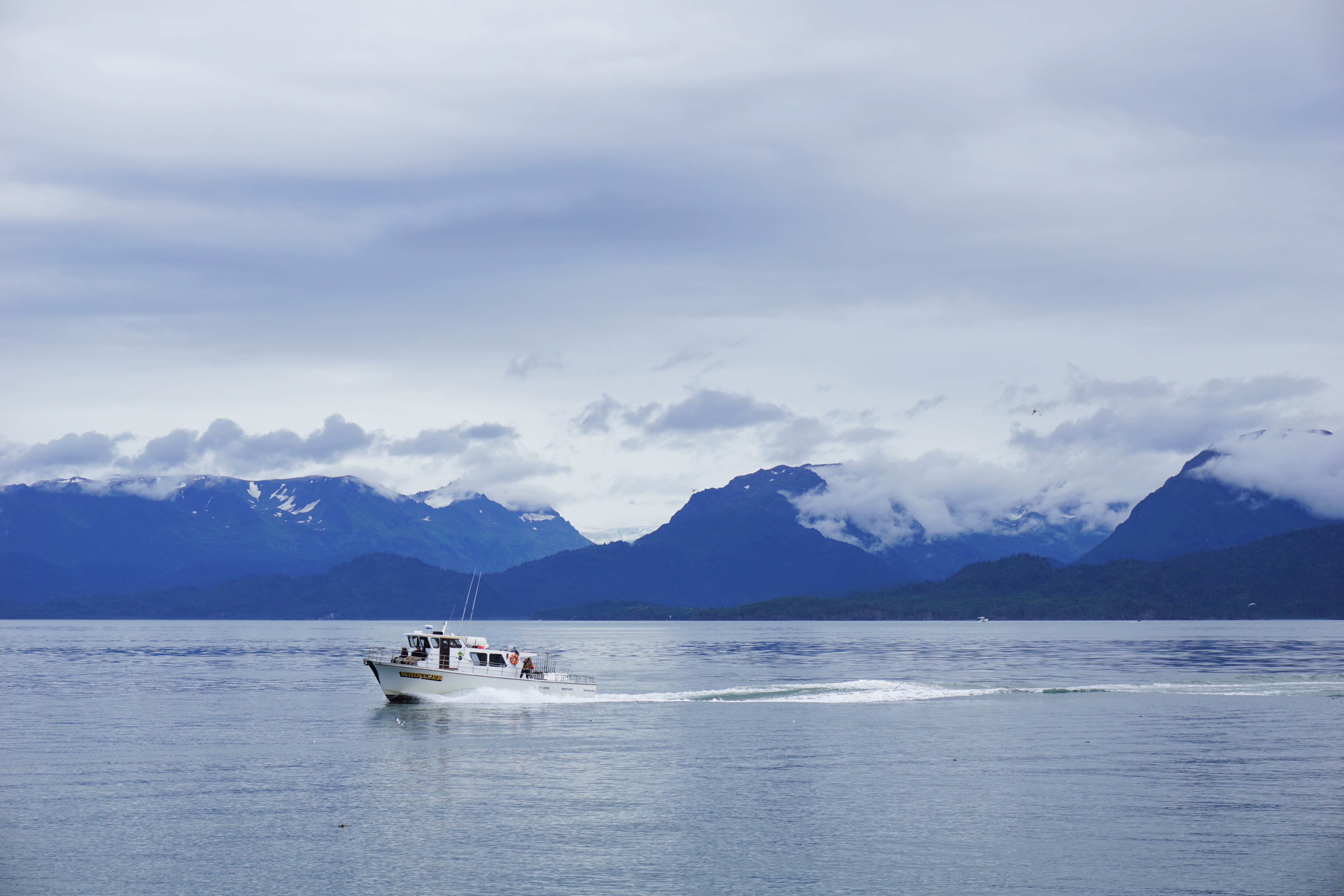 A photograph of the scenic wildnerness in Homer, Alaska