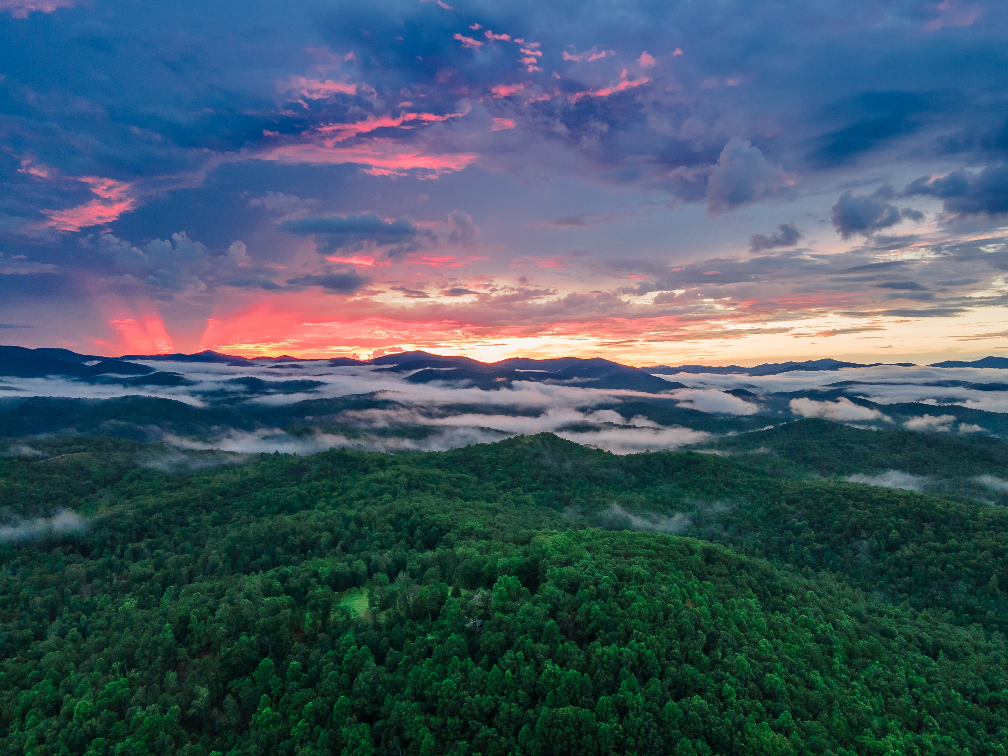 A photograph of the scenic wildnerness in Blue Ridge, Georgia