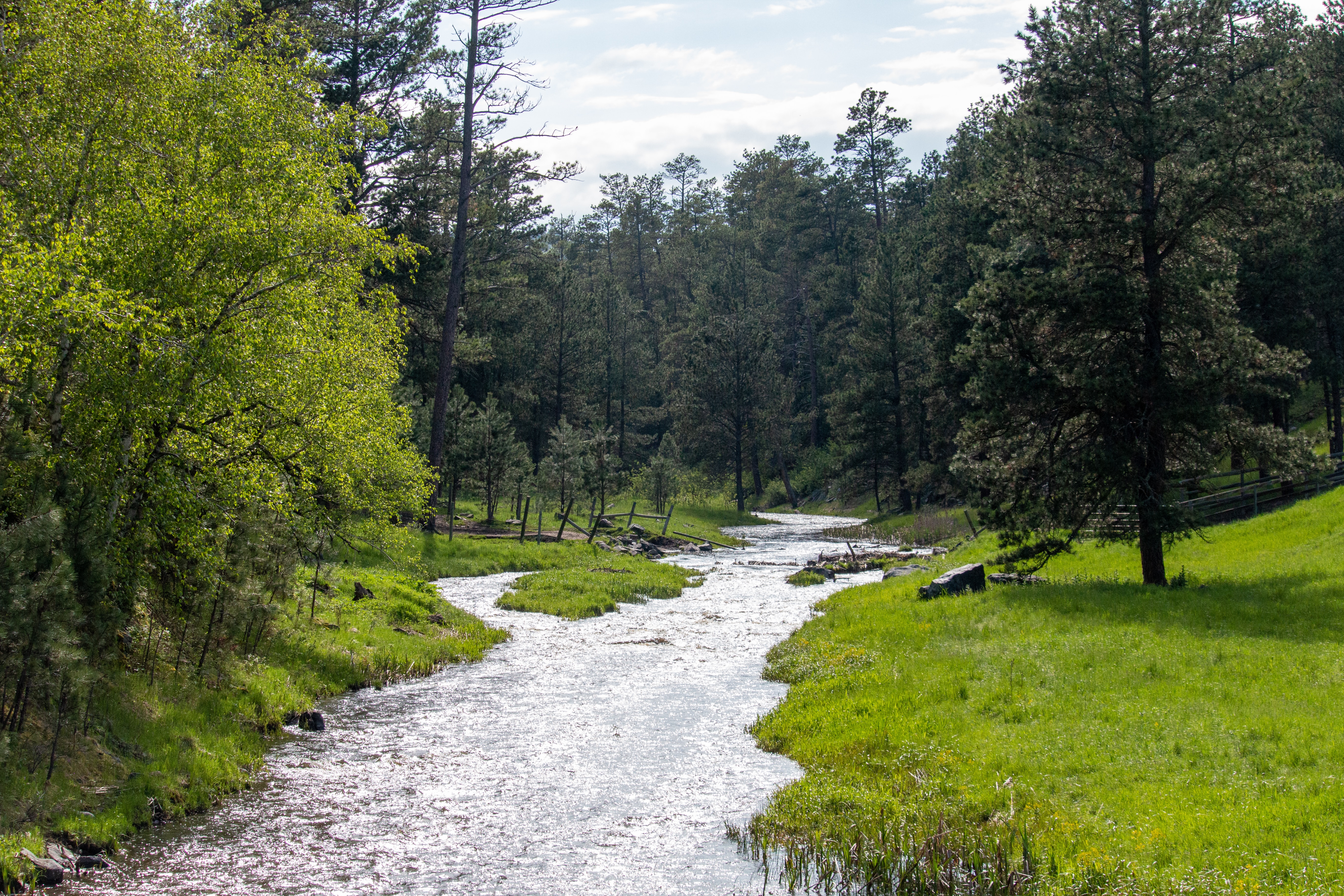 A photograph of the scenic wildnerness in Custer, SD