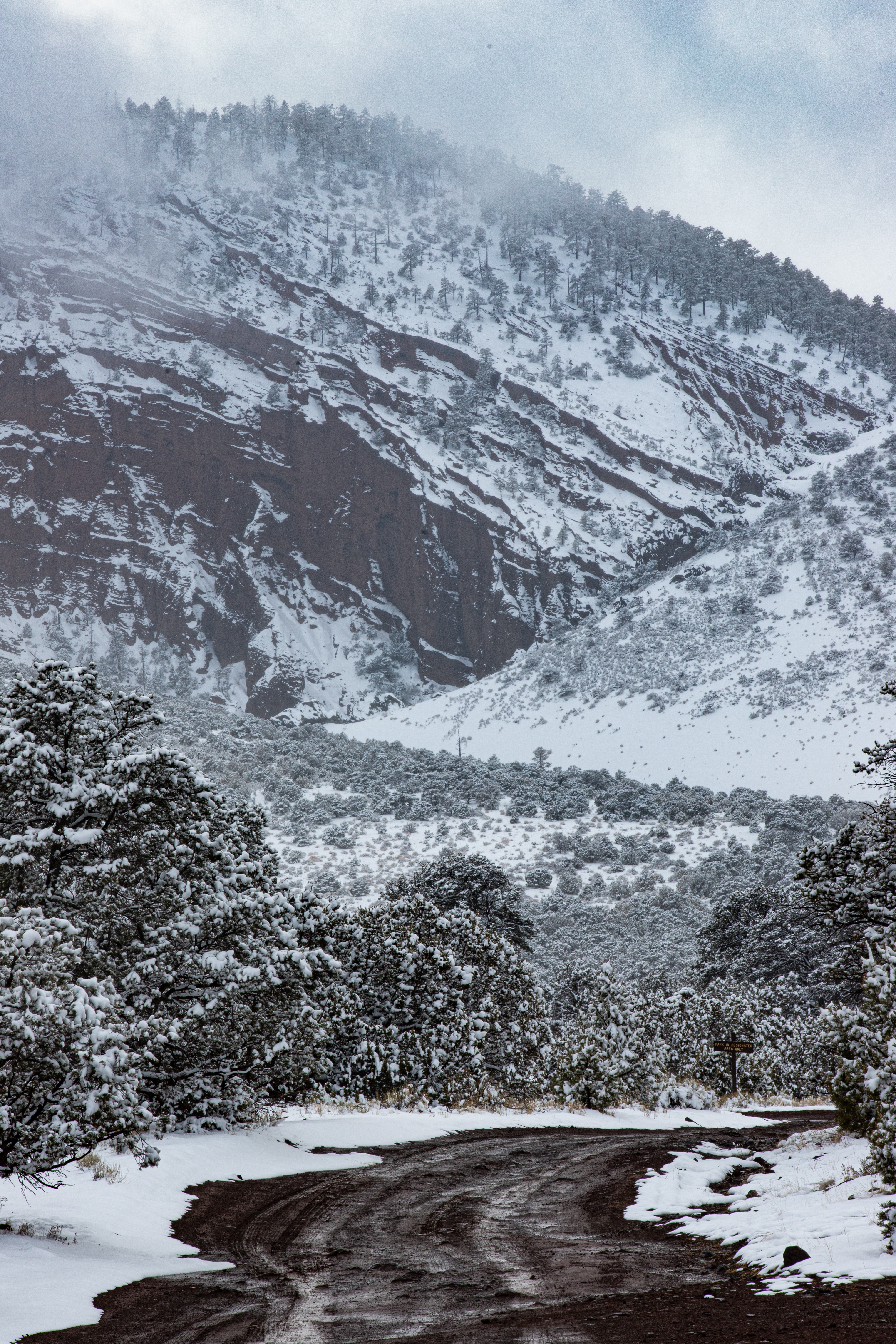 A photograph of the scenic wildnerness in Flagstaff, Arizona