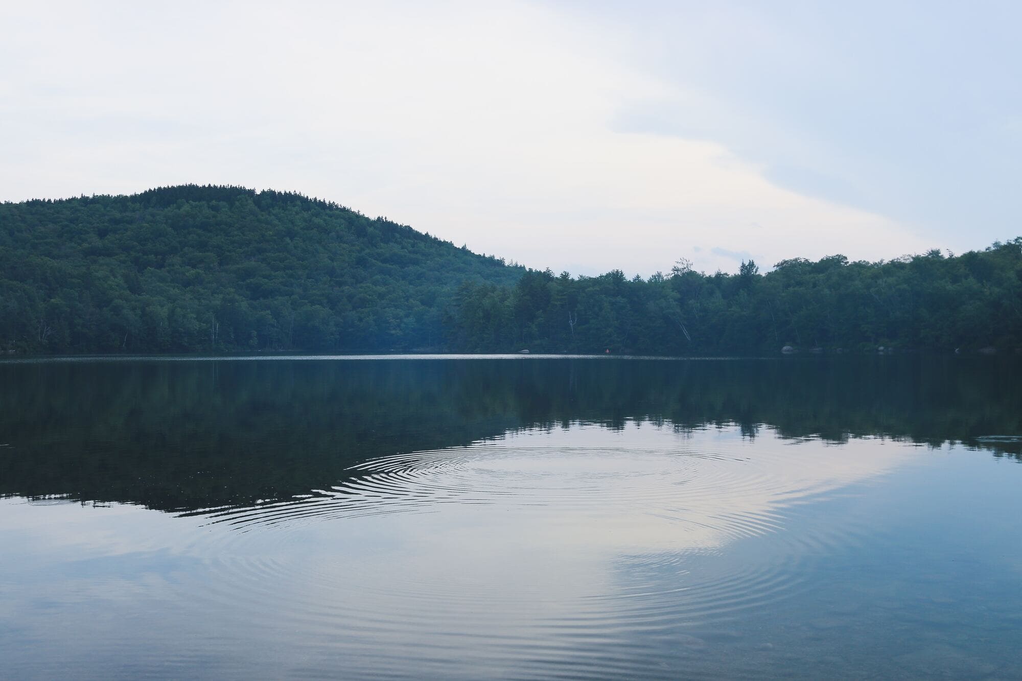 A photograph of the scenic wildnerness in North Conway, New Hampshire