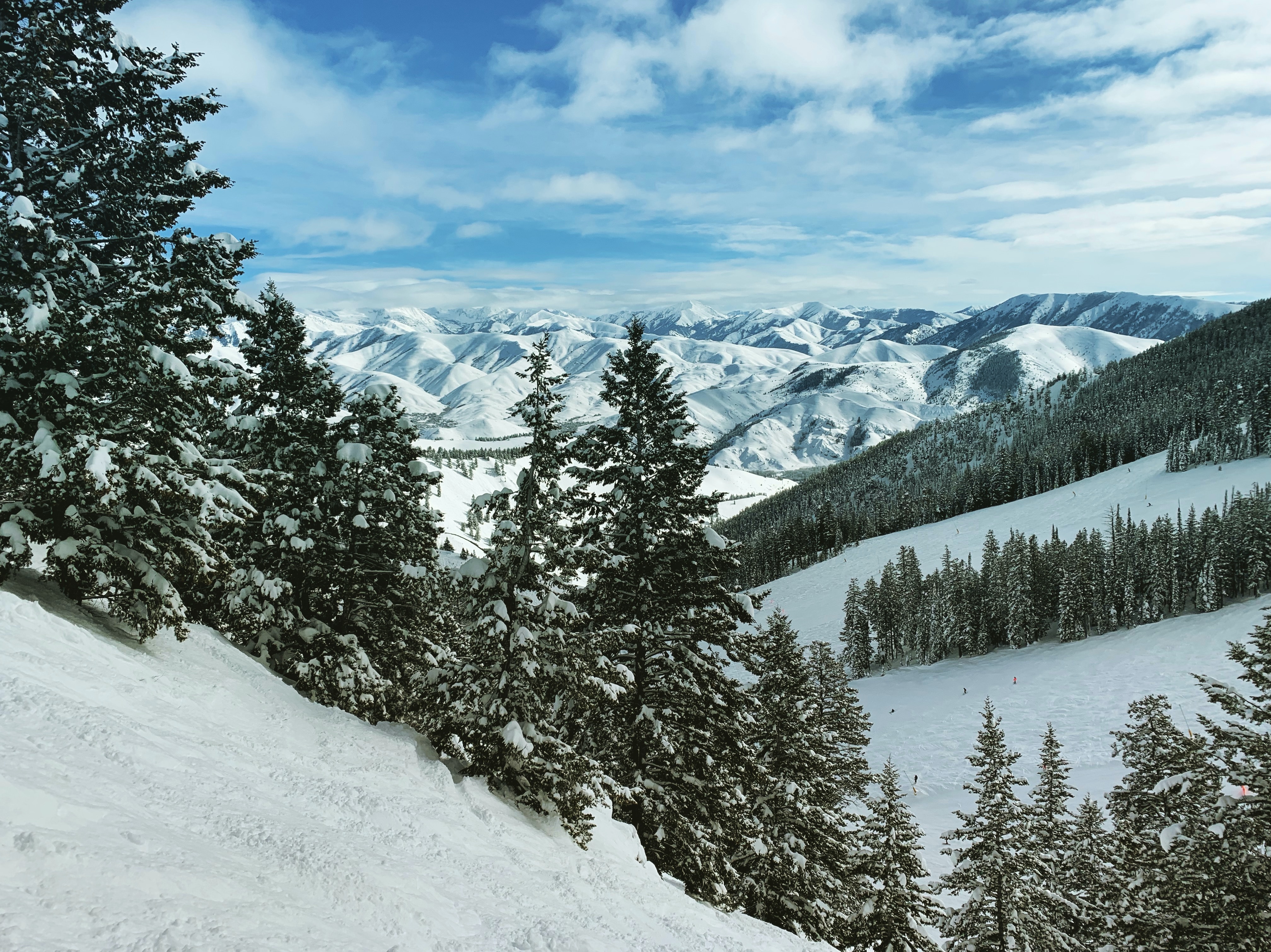 A photograph of the scenic wildnerness in Sun Valley, Idaho