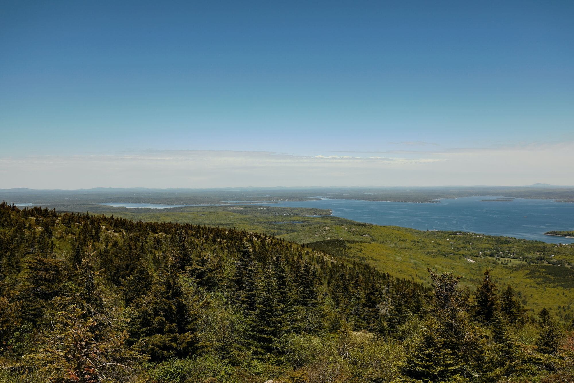 A photograph of the scenic wildnerness in Bar Harbor, Maine