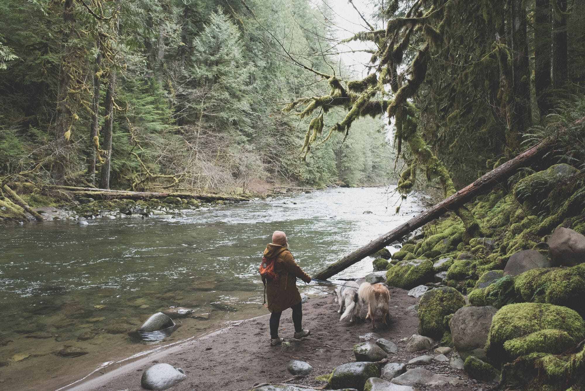 A photograph of the scenic wildnerness in Hood River, Oregon