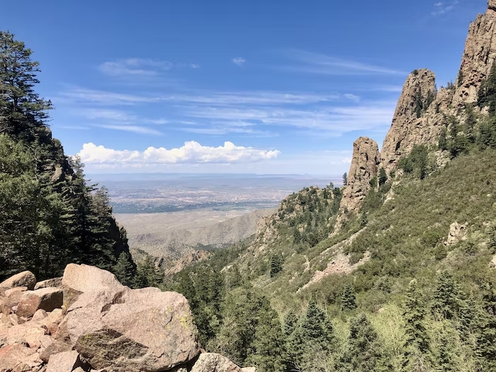 A photograph of the scenic wildnerness in Red River, New Mexico