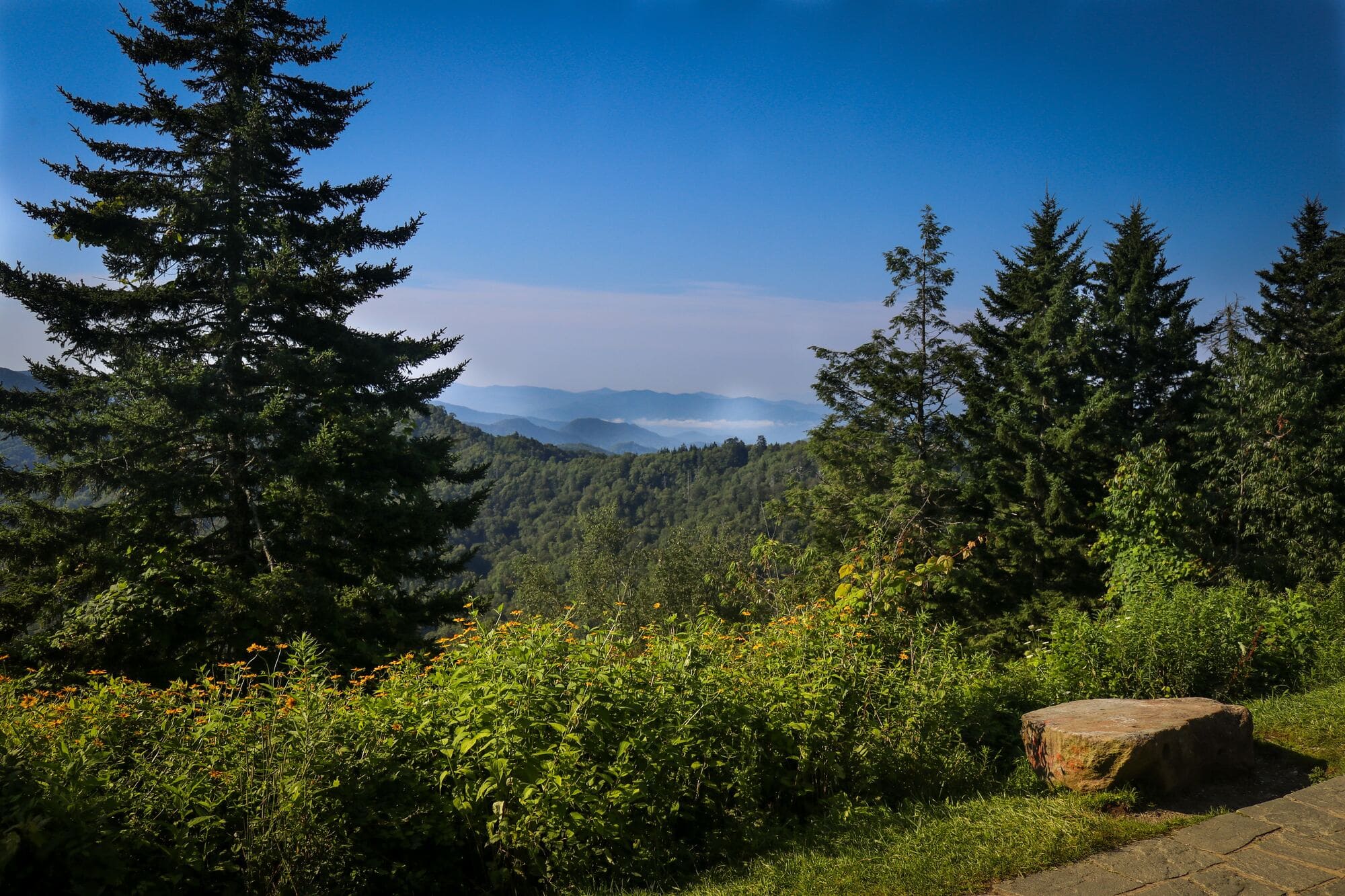 A photograph of the scenic wildnerness in Gatlinburg, Tennessee