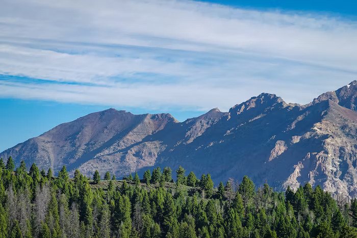 A photograph of the scenic wildnerness in Ketchum, Idaho