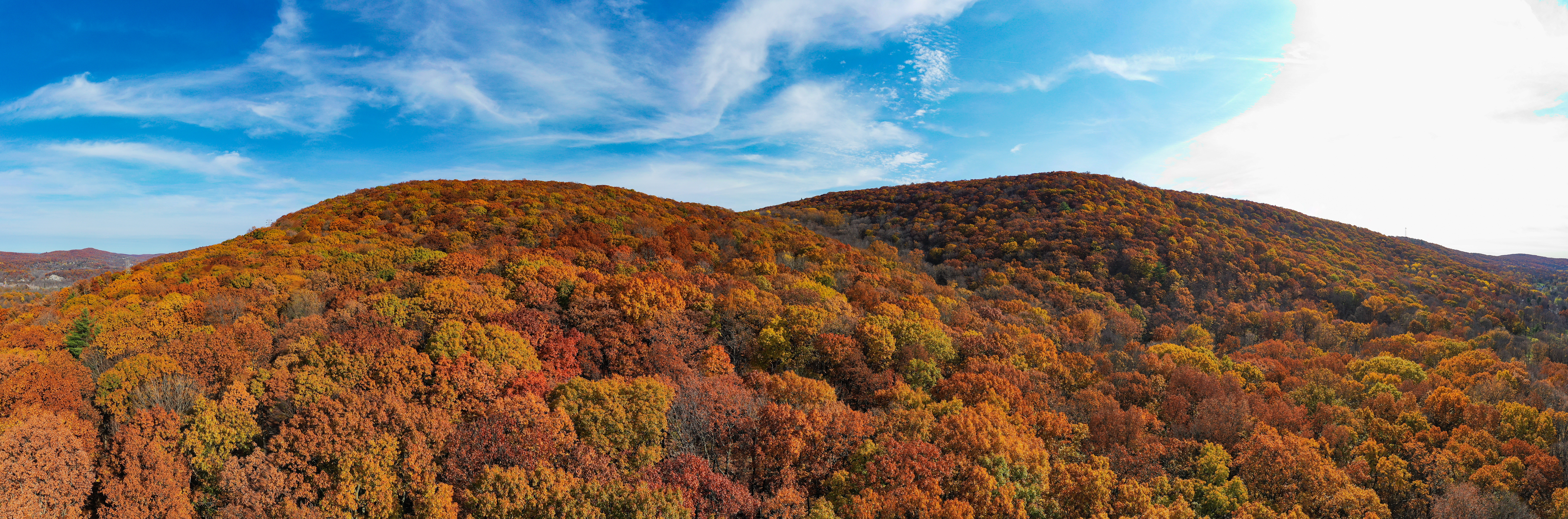 A photograph of the scenic wildnerness in Hamburg, New Jersey